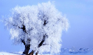 雾凇在哪个省份（雾凇岛在哪个省）