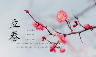 立春的特点 立春的特点50字