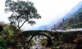 浙江南黄古道游记（浙江南黄古道旅游攻略）