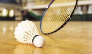 网球和羽毛球哪个最高时速快 网球与羽毛球的速度哪个更快一些?