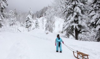 描写初冬落叶景色的句子（秋冬落叶的景色描写）