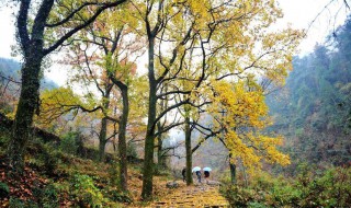 南黄古道今年最佳旅行时间 南黄古道 最佳时间