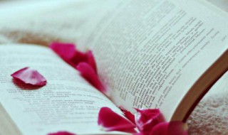 验的拼音 验的组词