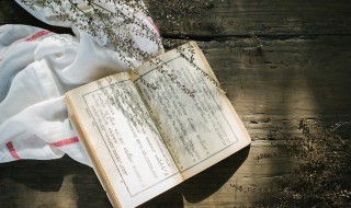 条的拼音 条怎么读