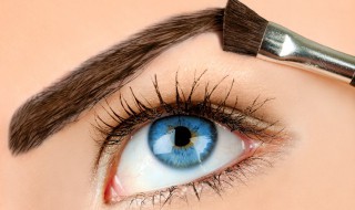 眼睑的拼音 眼睑的拼音怎么写