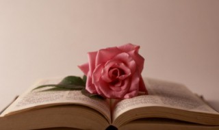 言其不过尔尔什么意思 言其不过尔尔的含义