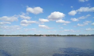 神州海内天涯知己分别指的是什么 神州海内天涯知己分别指的是什么意思