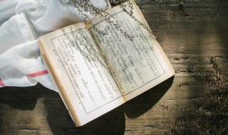 柳字是什么结构 柳字怎么解释