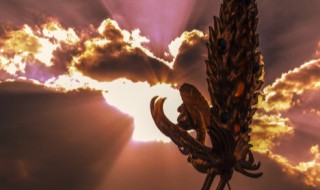 铜雀春深寓意什么(铜雀春深隐喻)