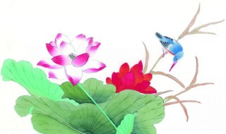 荷月是几月（荷月是几月份农历几月份）