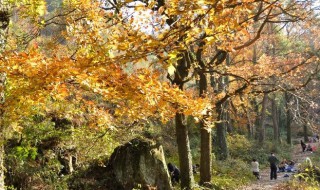 南黄古道徒步坡道多吗（南黄古道要走多长时间）