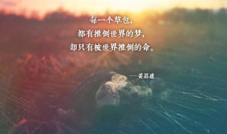 至理名言心灵鸡汤 至理名言人生哲理