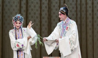 牡丹亭赏析500字（牡丹亭赏析论文1000字）