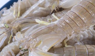 皮皮虾怎么储存（皮皮虾怎么储存时间长）