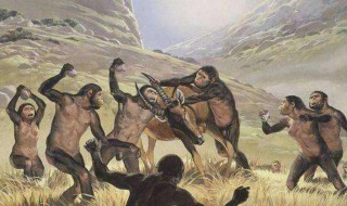 人类第一个祖先是谁 人类最早的祖先是什么人