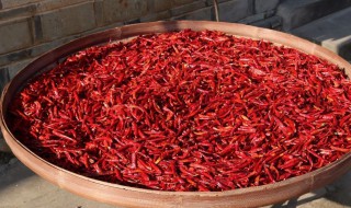 青椒晒成干怎么做 晒青椒干最简单的方法