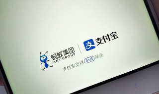 2020支付宝年度关键词是怎么来的 2020支付宝年度关键词是什么意思