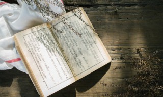 半江瑟瑟半江红的上一句是什么（半江瑟瑟半江红的上一句是什么?）