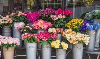 鲜花语录经典简短（鲜花语录经典简短内涵）