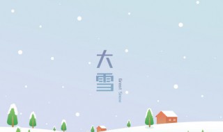 关于大雪节气的美句（关于大雪节气的美句古诗）