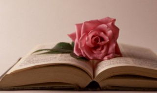 关于描写雾句子 表达雾的句子