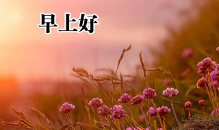 早上好祝福语优美句子2021年（早上好祝福语优美句子2021年级）