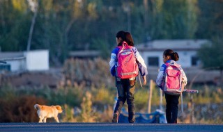 上学路上的景物描写 上学路上的景物描写400字