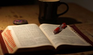 如痴如迷的意思 如痴如迷的解释