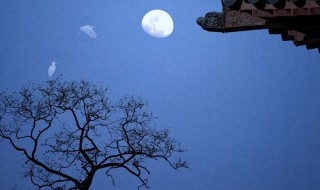 明月别枝中别枝的意思 明月别枝中原文介绍