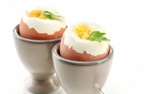 热水壶怎么煮鸡蛋 热水壶煮鸡蛋方法