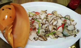 椰子螺怎么吃 怎么吃椰子螺