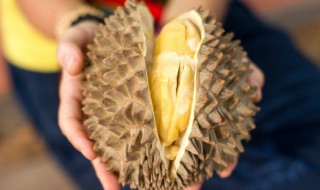 榴莲怎么有股酒味 为什么榴莲有股酒味