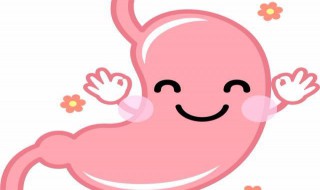 消化管的组成是什么?消化腺的组成是什么? 了解一下消化系统