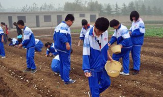 学生劳动学习表怎么做 你知道吗