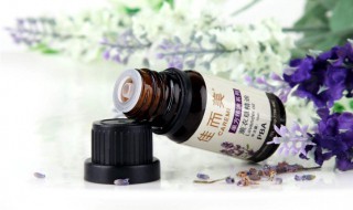 薰衣草精油的使用禁忌 薰衣草精油使用时要注意什么?