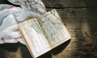 宋徽宗简介 宋徽宗简介生平