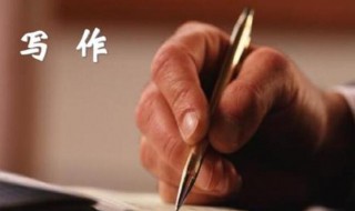 这儿真美300字作文（我发现这儿真美300字作文）