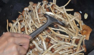 吃茶树菇中毒怎么办 吃茶树菇中毒的症状