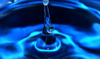 世界水日的由来 世界水日的由来20字