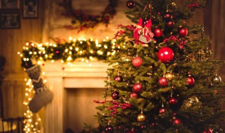 跟圣诞树有关的句子(跟圣诞树有关的句子英语)