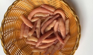 海肠的适宜人群和禁忌人群 海肠的适宜人群和禁忌人群的区别