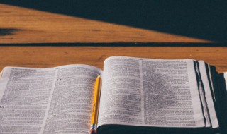 形容树的排比句子（树是什么排比句）