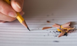 我心目中的春作文 我心目中的春作文600字