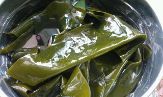泡好的海带上起泡泡怎么办（海带泡了起泡泡）