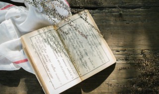 执着和执著哪个正确 执着和执著哪个正确怎么念