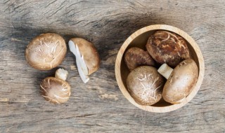 香菇牛肉汤做法步骤 香菇牛肉汤的做法