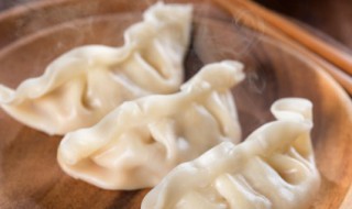 煮速冻饺子技巧（煮速冻饺子技巧视频）