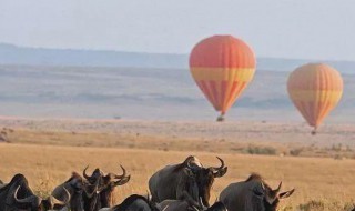 非洲的山脉主要分布在哪里（非洲北部的山脉是什么山脉）