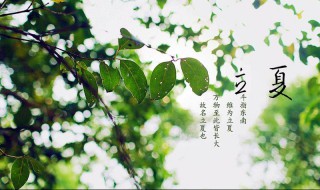 立夏下雨表示什么（立夏这天下雨有什么说法）