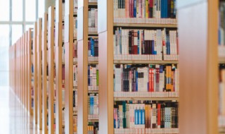 巩固用英语怎么说 巩固的英语翻译